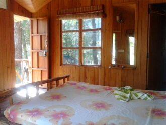 Hotel Kasauli Jungle Camp, Kasauli 2